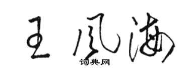 駱恆光王風海草書個性簽名怎么寫