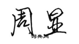 駱恆光周顯行書個性簽名怎么寫