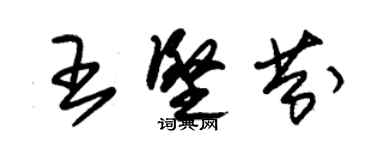 朱錫榮王堅芬草書個性簽名怎么寫