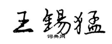 曾慶福王錫猛行書個性簽名怎么寫