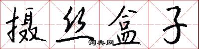 攝衛的意思_攝衛的解釋_國語詞典