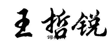 胡問遂王哲銳行書個性簽名怎么寫