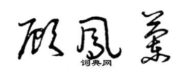 曾慶福顧鳳蘭草書個性簽名怎么寫