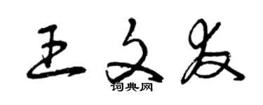 曾慶福王文友草書個性簽名怎么寫