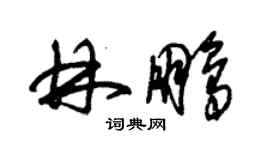 朱錫榮林鵬草書個性簽名怎么寫