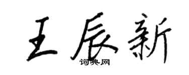 王正良王辰新行書個性簽名怎么寫