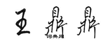 駱恆光王鼎鼎行書個性簽名怎么寫