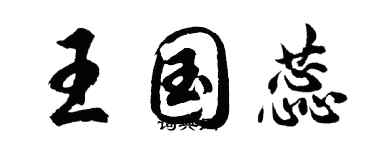 胡問遂王國蕊行書個性簽名怎么寫