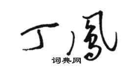 駱恆光丁鳳草書個性簽名怎么寫