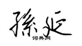 王正良孫延行書個性簽名怎么寫