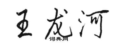 駱恆光王龍河行書個性簽名怎么寫