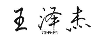 駱恆光王澤傑行書個性簽名怎么寫