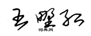 朱錫榮王野紅草書個性簽名怎么寫