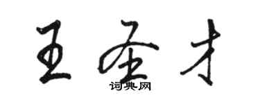 駱恆光王聖才行書個性簽名怎么寫