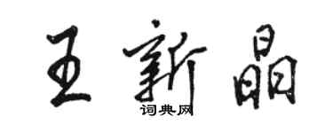 駱恆光王新晶行書個性簽名怎么寫