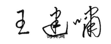 駱恆光王建嘯草書個性簽名怎么寫