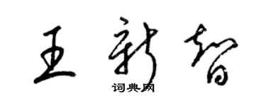 梁錦英王新智草書個性簽名怎么寫