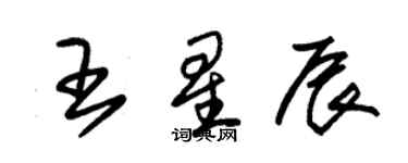 朱錫榮王星辰草書個性簽名怎么寫