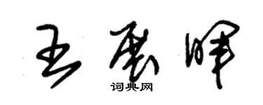 朱錫榮王展暉草書個性簽名怎么寫