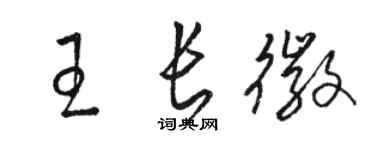 駱恆光王長徽草書個性簽名怎么寫