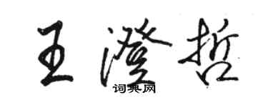 駱恆光王澄哲行書個性簽名怎么寫