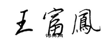 王正良王富鳳行書個性簽名怎么寫