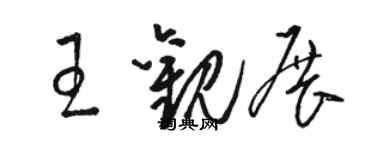 駱恆光王觀展草書個性簽名怎么寫