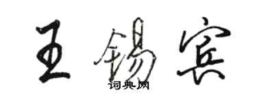 駱恆光王錫賓行書個性簽名怎么寫