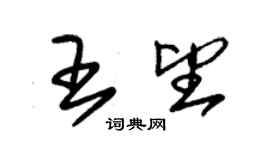 朱錫榮王望草書個性簽名怎么寫