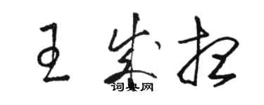 駱恆光王成想草書個性簽名怎么寫