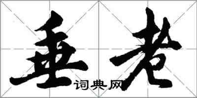 胡問遂垂老行書怎么寫