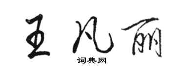 駱恆光王凡麗行書個性簽名怎么寫