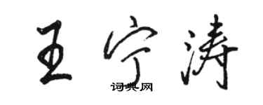 駱恆光王寧濤行書個性簽名怎么寫