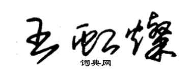 朱錫榮王虹燦草書個性簽名怎么寫