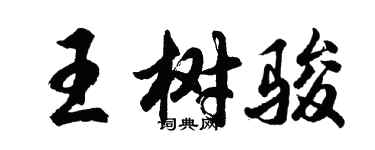 胡問遂王樹駿行書個性簽名怎么寫
