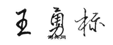 駱恆光王勇標行書個性簽名怎么寫