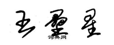 朱錫榮王壘星草書個性簽名怎么寫