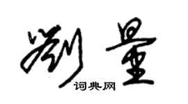 朱錫榮劉量草書個性簽名怎么寫