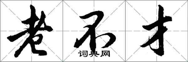 胡問遂老不才行書怎么寫