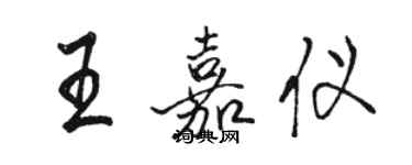 駱恆光王嘉儀行書個性簽名怎么寫