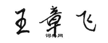 駱恆光王章飛行書個性簽名怎么寫