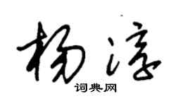 朱錫榮楊淳草書個性簽名怎么寫