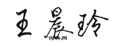 駱恆光王晨玲行書個性簽名怎么寫