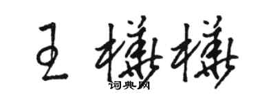 駱恆光王樺樺草書個性簽名怎么寫