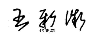 朱錫榮王新微草書個性簽名怎么寫