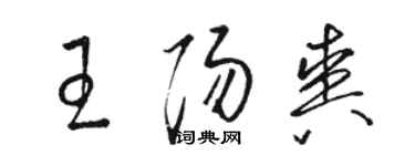 駱恆光王陽爽草書個性簽名怎么寫