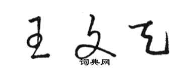 駱恆光王文天草書個性簽名怎么寫