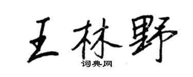 王正良王林野行書個性簽名怎么寫
