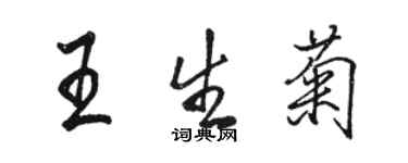 駱恆光王生菊行書個性簽名怎么寫