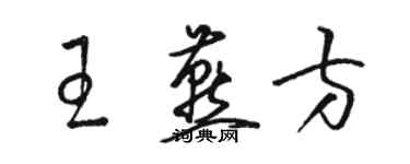 駱恆光王燕方草書個性簽名怎么寫